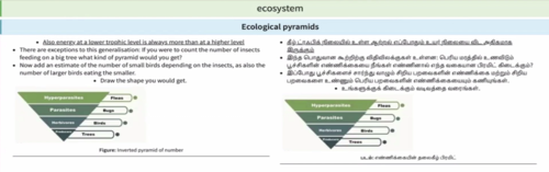 ИИ в образовании, пример адаптивной систем