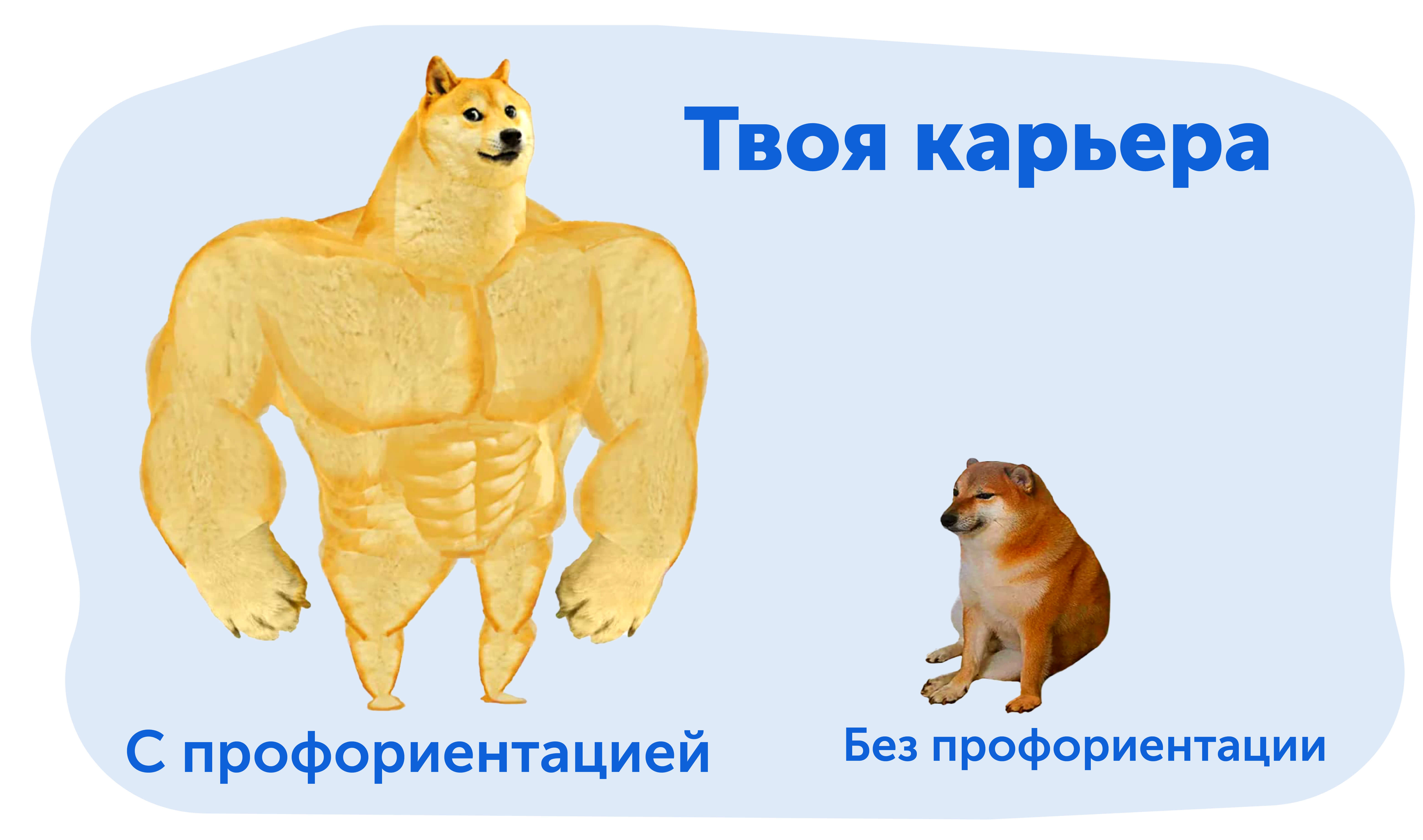Как выбрать профессию, мем о главном секрете 