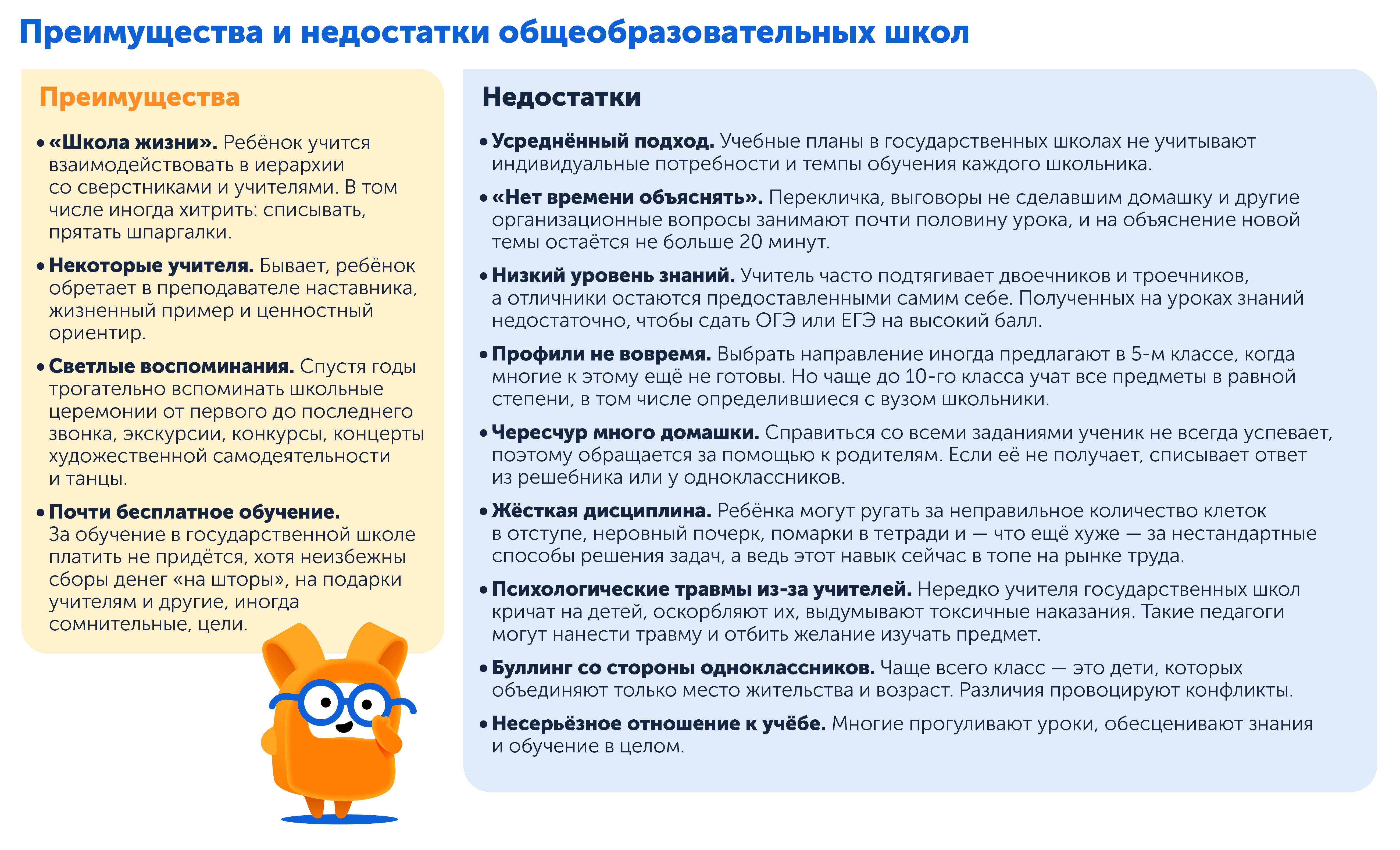 Плюсы и минусы обучения в муниципальной школе