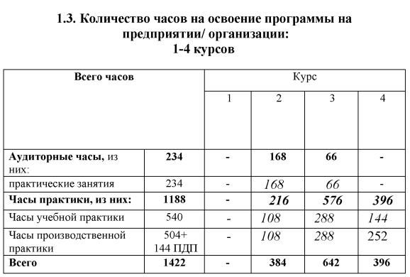 Дуальное обучение — пример в России