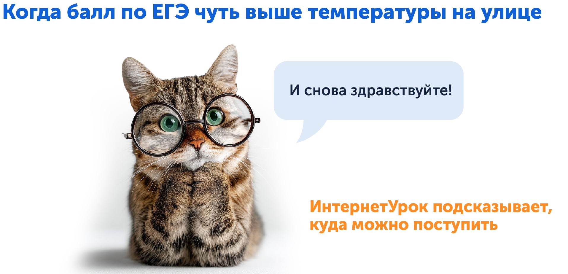 Куда поступить с низкими баллами ЕГЭ, способы спасения