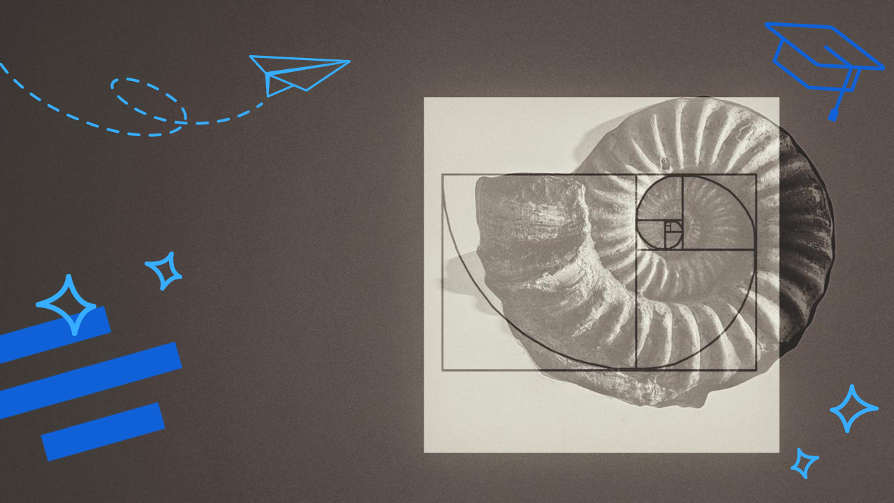 Факты о математике, которые удивят даже взрослых