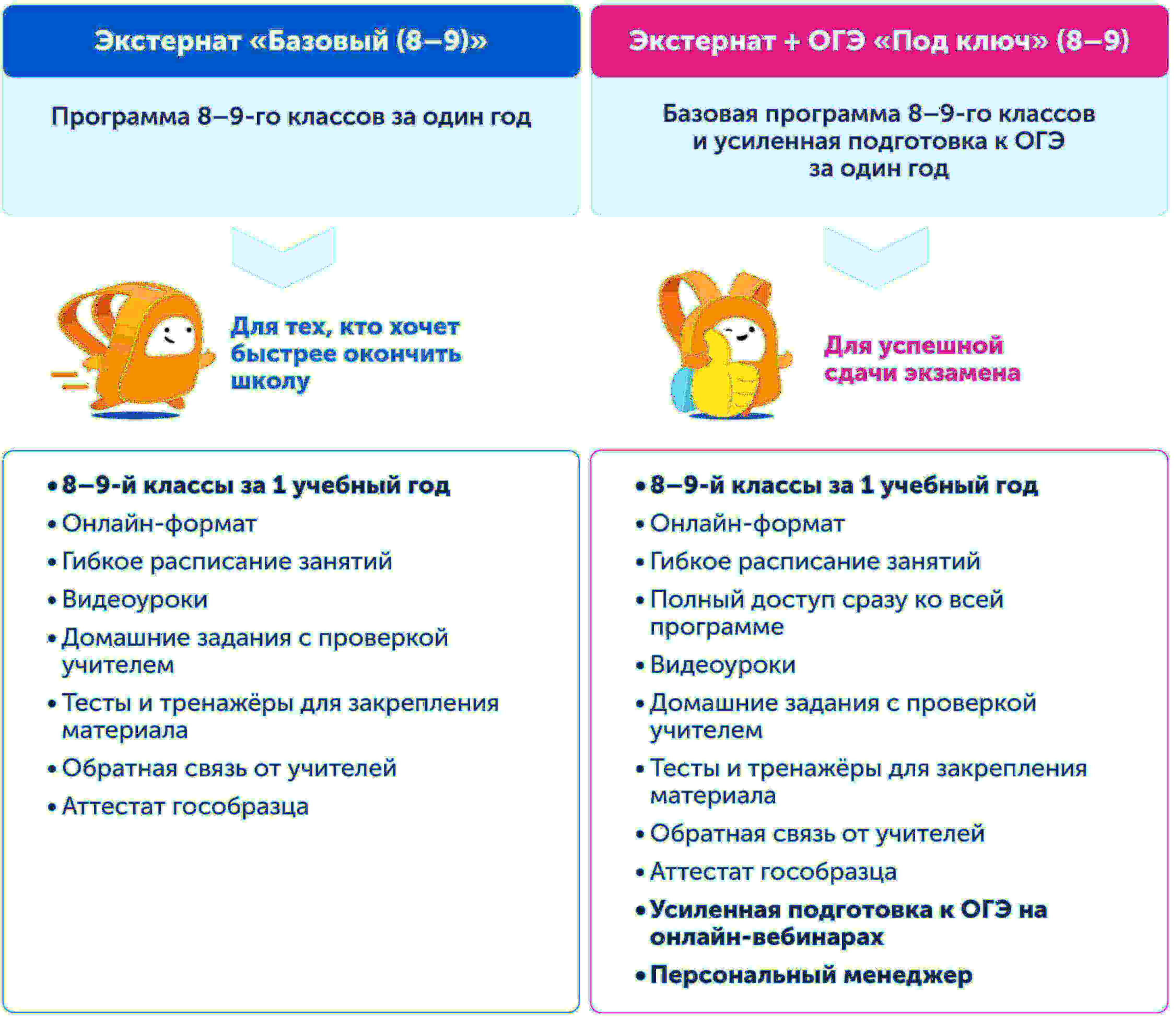 Пример программ экстерната для 8 и 9 класса 