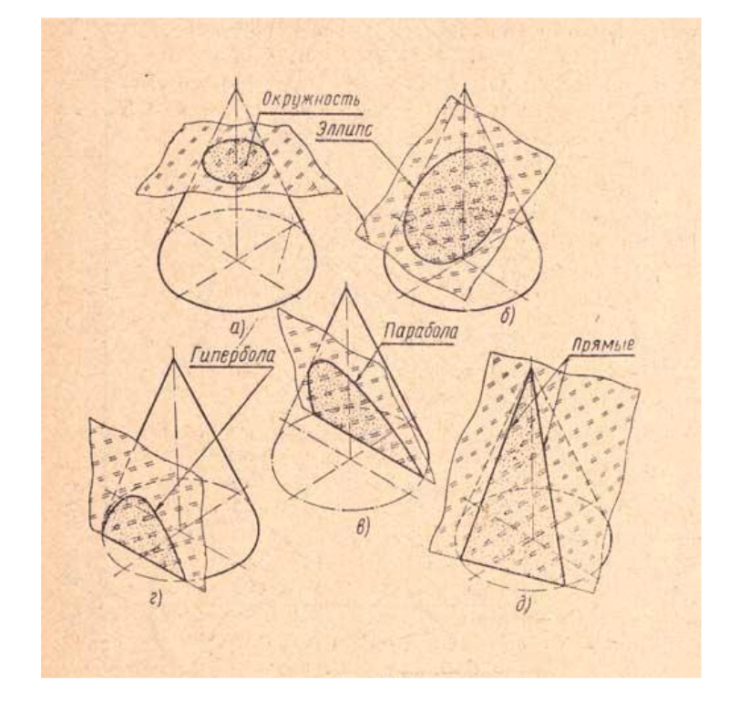 Сечение конуса