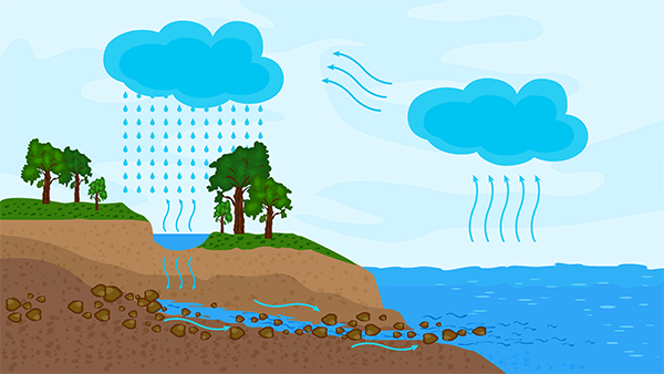 Круговорот воды