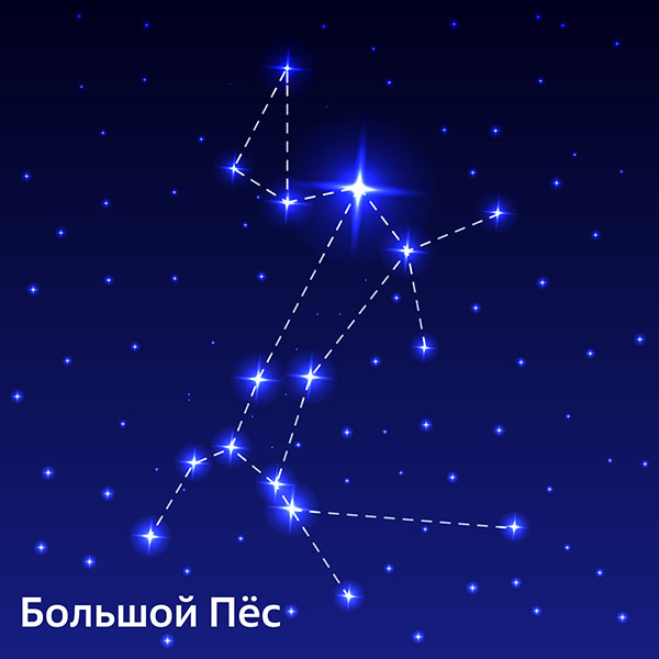 Большой Пёс
