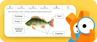 Интерактивные тренажёры